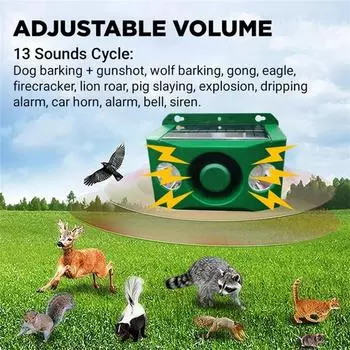 Солнечные фонари с большой громкостью, Солнечные фонари с большой громкостью(2 прожектора) One Size