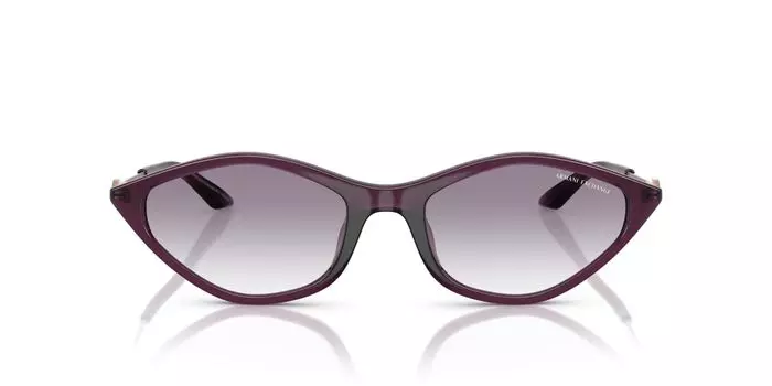 Солнцезащитные очки 0AX4152SU ОПАЛОВЫЙ ФИОЛЕТОВЫЙ 55 [Armani Exchange]