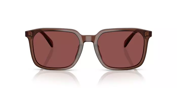 Солнцезащитные очки 0HC8411U ПРОЗРАЧНЫЙ МАХОГОН 55 [Coach]