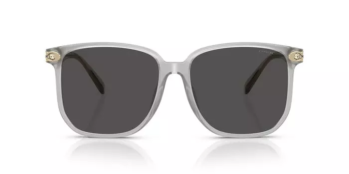 Солнцезащитные очки 0HC8413BD ПРОЗРАЧНЫЕ ГОЛУБЫЕ 58 [Coach]