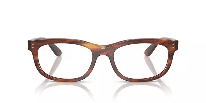 Солнцезащитные очки 0RX5489F STRIPED HAVANA 54 [Ray-Ban]