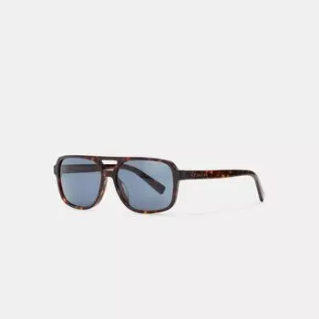 Солнцезащитные очки Coach Signature Pilot темно-черепаховые