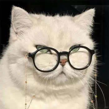 Солнцезащитные очки для кошек, ретро-очки для домашних животных с золотой цепочкой для кошек, маленьких собак, наряды для домашних животных A