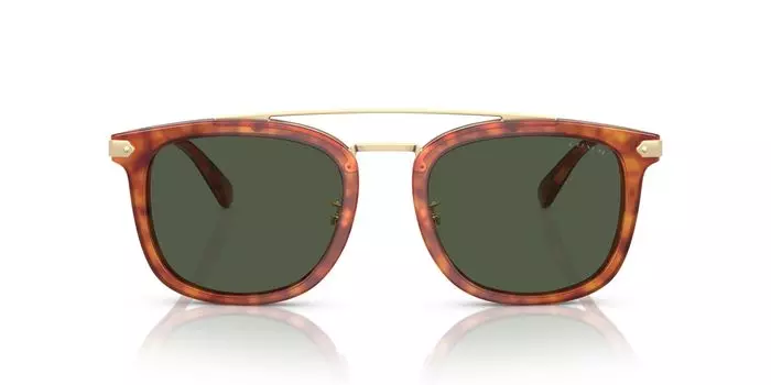 Солнцезащитные очки HC8382 CL913 КАРАМЕЛЬНЫЙ ЧЕРЕПАХОВЫЙ 53 [Coach]