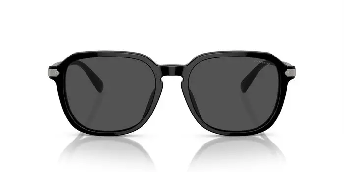 Солнцезащитные очки HC8383U CL912 ЧЕРНЫЕ 55 [Coach] чёрный