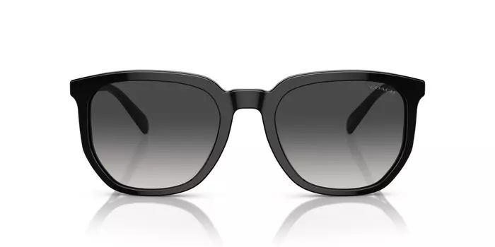 Солнцезащитные очки HC8384U CL911 ЧЕРНЫЕ 55 [Coach] чёрный