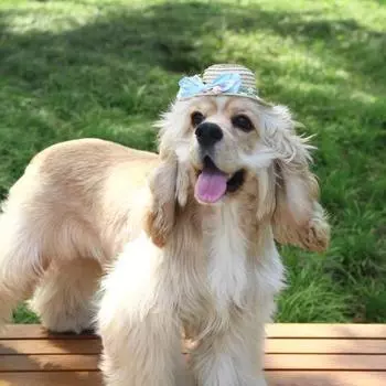 Соломенная шляпа для домашних животных, солнцезащитная кепка ручной работы с регулируемым ремешком на подбородке, аксессуары для головных уборов S розовый