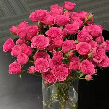 SophieMulti-headed Rose Bubble Rose Yunnan Kunming Base Straight Hair Искусственные цветы 31 Head