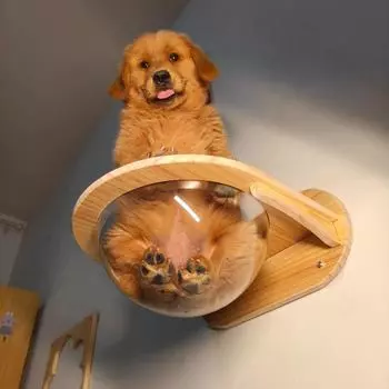 Сосновая твердая древесина настенная кошачья капсула с перфорацией свободного пространства подвесное гнездо для кошек полка для восхождения лестница товары для животных