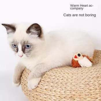 Sounding Bird Feather Tail Cat Toys Catnip Fun Cat Toys Cat Hobby Toys Adorable Cute Pets Best Companion Every cat wants one! чёрный