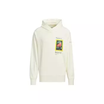 Совместная толстовка Adidas X National Geographic DWR с буквенным принтом свободного кроя, спортивная уличная толстовка с капюшоном, мужская толстовка с капюшоном IS9523 XXL