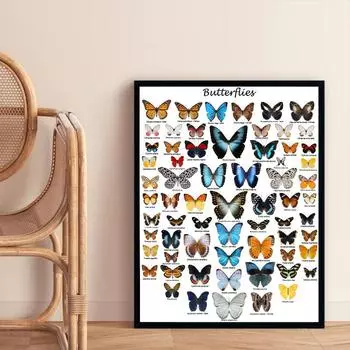 Современные бабочки диаграмма плакат настенное искусство HD фотографии классические картины на холсте и принты для гостиной домашний декор без рамки 21x30cm No Framed
