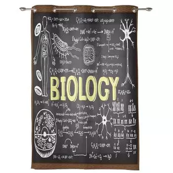 Современные оконные шторы для гостиной, биологическая клеточная структура, узорные шторы для детской спальни, кухонный декор, жалюзи, шторы 135W x 60H(cm) x1