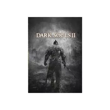 Современный игровой постер с декором The Dark Souls на холсте, настенная живопись, постеры и принты, художественное оформление для детской комнаты, дома, без рамки 21*30cm No Frame