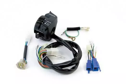 SP TAKEGAWA комбинированный переключатель ASSY APE50FI 05-09-0015