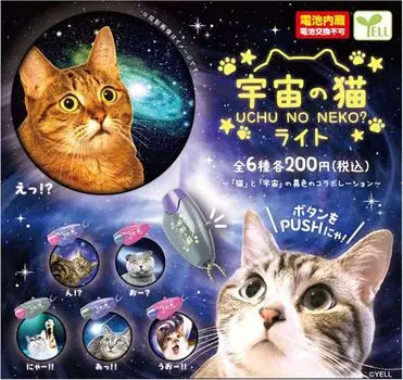 Space Cat Light x All 6 Types Set Full Comp Gacha Gacha Capsule Toy