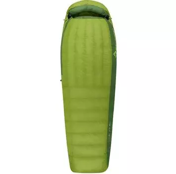 Спальный мешок Sea To Summit Ascent AcII Reg (STS AAC2-R)