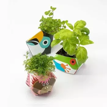 Спасибо Комплект Urban Jungle Kit Rainforest Animal Collection Supplies Mini Set AGardening Bonsai/Culting