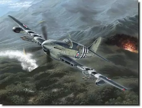 Special Hobby British Fairey Firefly Carrier Fighter Plastic Model SH48136n 1/48 Mk.4/5