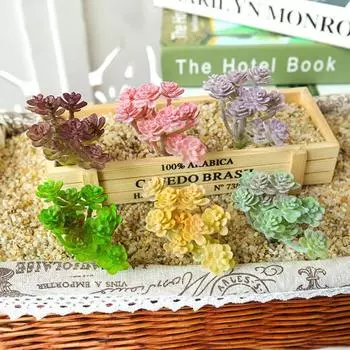 Специальное моделирование суккулентов, широкое применение, фантастические декоративные изделия красный