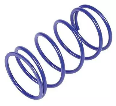 Специальные детали Takegawa Усиленная пружина центра сцепления Синяя Cygnus X SR X (SEA5J, BF91)/Лебедь (2УБ1) 02-01-7018