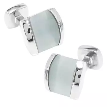 Специализированный магазин запонок CUFF Eclipse Eye Silver Cufflinks Запонки n00590 Cat s серый