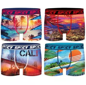 Spicy T725 боксеры 4 шт. M