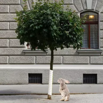 Спиральная защита деревьев, защитная пленка для ствола деревьев, садовая уличная кора, крышка растения для двора Gray 4x40cm