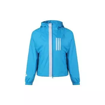 Спортивная куртка Adidas с капюшоном женская верхняя одежда синяя DZ0035 M