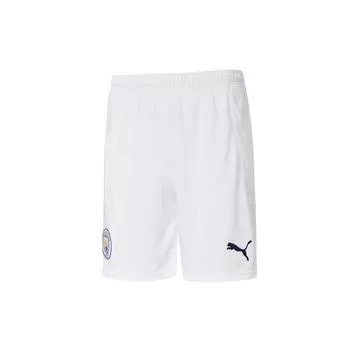 Спортивные шорты Puma Running Training Embroidered Logo Мужские плавки 757110-04 M