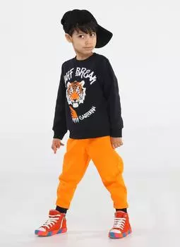 Спортивный костюм для мальчика Tiger