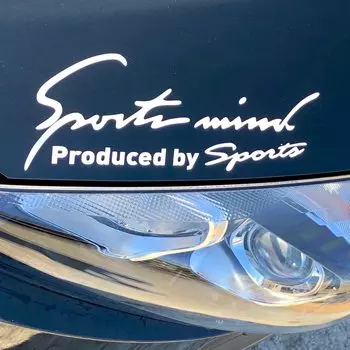 Sports Mind Car Bike Sticker Decal Seal General Purpose Side Dress Up Sports Mind 8 Colors 4 Sizes Letters White S Size 19 x (All Silver, 7cm)