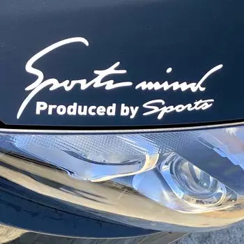 Sports mind наклейка для автомобиля, велосипеда, наклейка, универсальная, боковая, спортивная, умная, 8 цветов, 4 размера, буквы, белый размер LL 35 x (Полностью серебряный, 11 см)