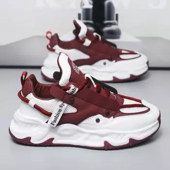 Spring and Autumn Season Latest Mesh Breathable Casual Shoes for Men s 2024 Lightweight and Tall Youth Sports Running Shoes 39