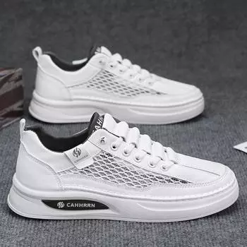 Spring and summer men s shoes 2025 new mesh board shoes men s breathable sports and leisure trendy shoes student little white shoes low top 39