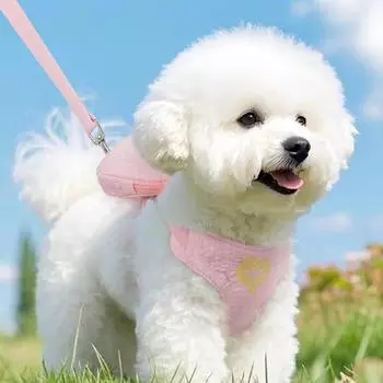 Spring and summer puppy dog self-backpack vest type medium and small dog chest strap cat leash pet supplies S (recommended weight 3-3 kg)