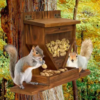 Squirrel Feeder Wall Mounted Sturdy, Large Funny Easy to Fill for Corn Peanuts Feeding Station