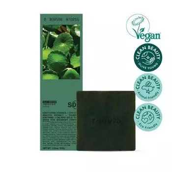 Средство для умывания лица Tone28 S9 (Хауттюйния сердцевидная и центелла азиатская) 100г, Корея очищающая