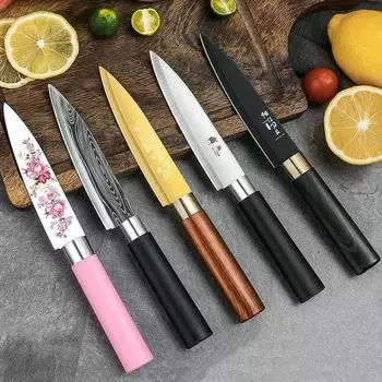 Stainless Steel Fruit Knives Kitchen Fish Sushi Knife Barbecue Knife Vegetable Cutter Boning Knife Cleaver