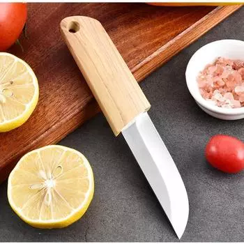 Stainless Steel Small Knife Fruit Knife Wooden Handle Kitchen Utility Knife Fruit Cutting Knife Sharp Blade Chef Cooking Knife
