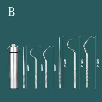 Stainless Steel Toothpick Set Tooth Flossing Reusable Toothpicks Portable Toothpick Floss Teeth Cleaner Oral Cleaning B