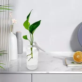 Станция для размножения растений Держатель для стебля в форме птицы Гидропонный помощник по размножению растений Поддержка стебля растения для черенков Побеги Стебли Ростки 1pc