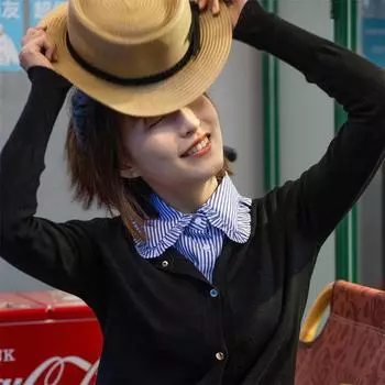 Stand Lapel False Collar Women Embroidery Faux Half Shirt Blouse Fake Collars Sweater Shirt Detachable Collars