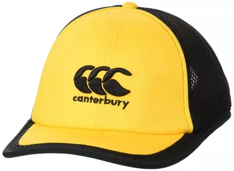 СТАНДАРТНАЯ КЕПКА [Кентербери]