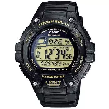 Стандартные часы CASIO W S220 9AJH