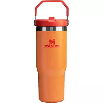 STANLEY Ice Flow Flip Straw Goldenrod вакуумный стакан 800 мл бутылка для воды бутылка из нержавеющей стали с изоляцией от холода бутылка для воды для спорта и отдыха на природе гарантия золотисто-берёзовый