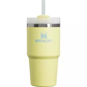 STANLEY Vacuum Quencher Pomelo 600ml Cold Insulated Sturdy Straw Water Bottle Summer Outdoor Dishwasher Safe Warranty Japanese H2.0 0.6L (Genuine