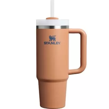 STANLEY Vacuum Quencher Toast 880ml Cold Insulated Sturdy Straw Water Bottle Summer Outdoor Dishwasher Safe Warranty Japanese H2.0 0.88L (Genuine