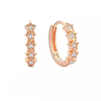 Star Set Diamond S925 Tremella Ring Premium Earrings Ear Buckle Simple Niche Original Design Five-Pointed Star Earrings 925 Silver