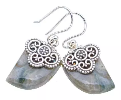 StarGems Natural Ocean Japser Handmade 925 Sterling Silver Earrings 1.5 F6445